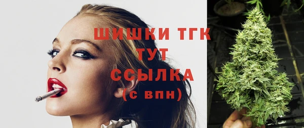 стафф Карпинск
