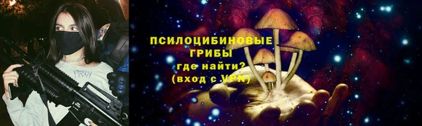 гидра Карталы