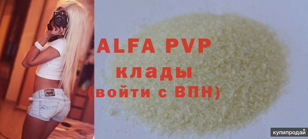 стафф Карпинск