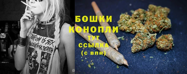 стаф Каменногорск