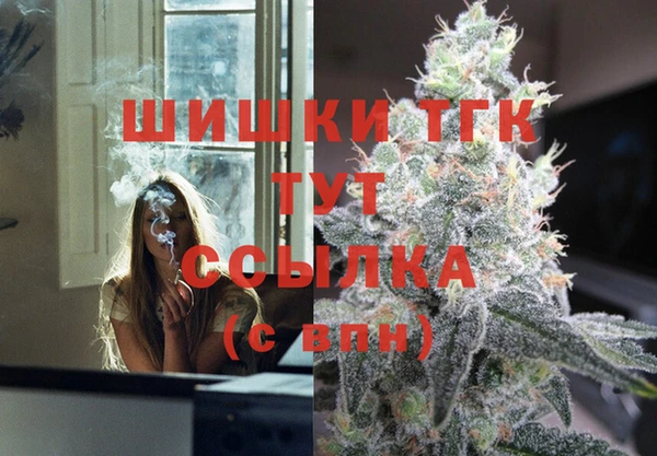 гидра Карталы
