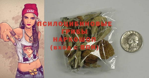 ешки Касимов